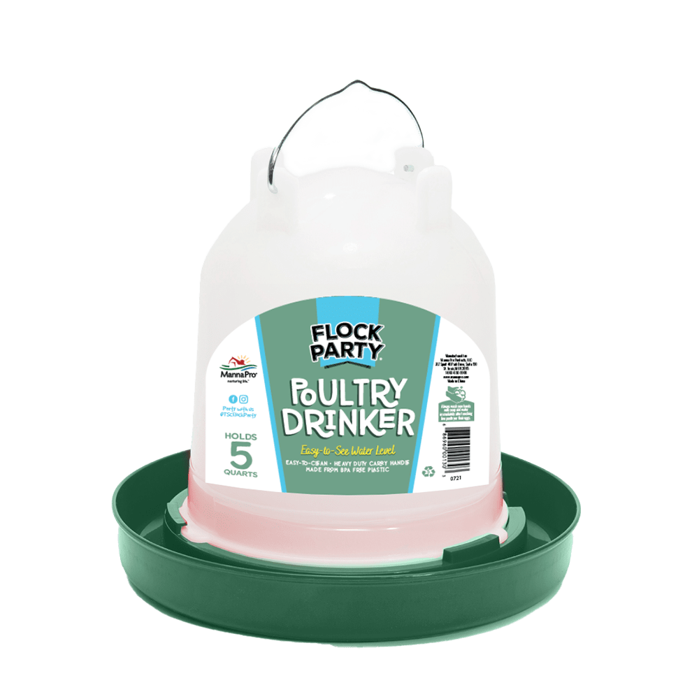 Flock Party Poultry Drinker Seafoam Green, 5 qt