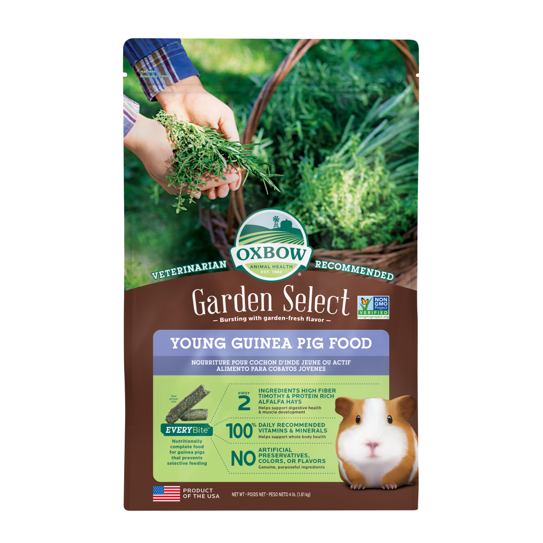 Garden Select Young Guinea Pig Food - 4 lb