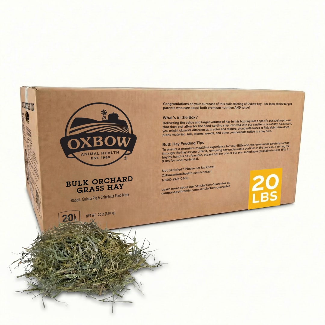 Orchard Grass - 20 lb