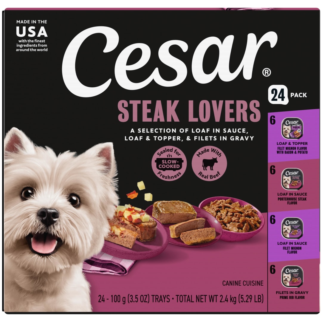 CESAR Adult Soft Wet Dog Food Steak Lovers Variety Pack with Real Meat, (24) 3.5 oz. Trays