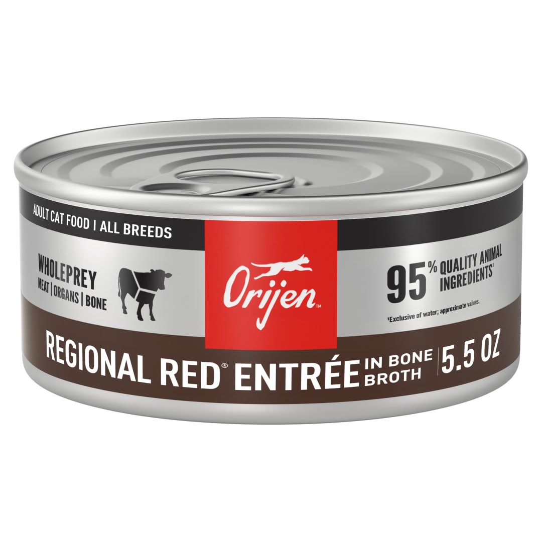 ORIJEN Premium Pate Wet Cat Food in Bone Broth Regional Red Entrée