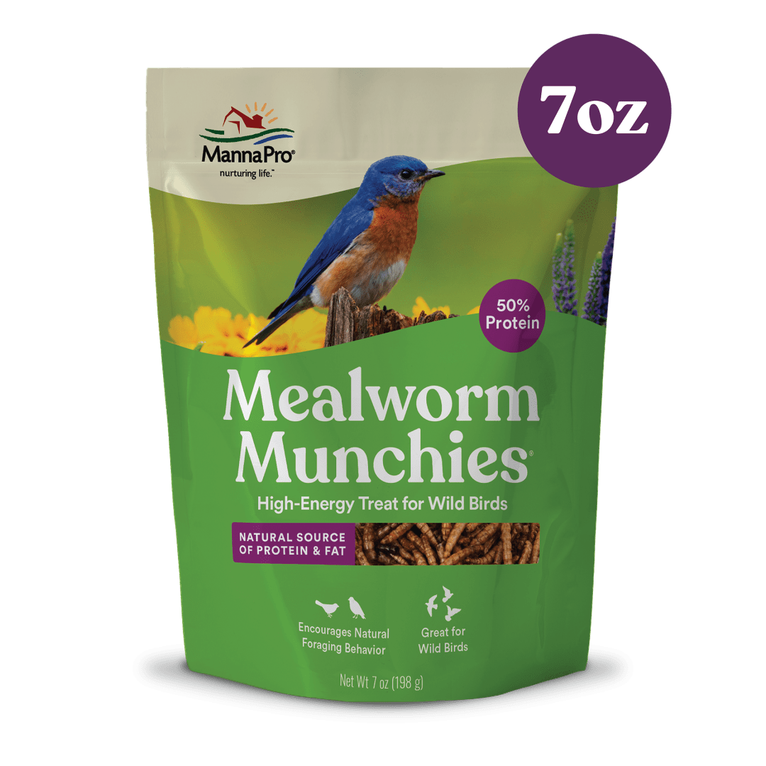 Manna Pro Mealworm Munchies, 7 oz