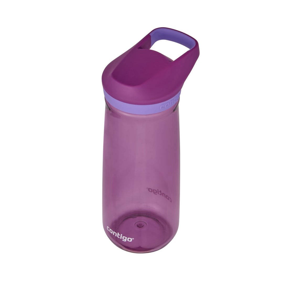 MICAH 20OZ TRI GRAPE AMETHYST 6PC PDQ