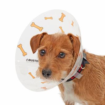 BUSTER Design Dog Collar, "Bones", Orange, 12.5cm