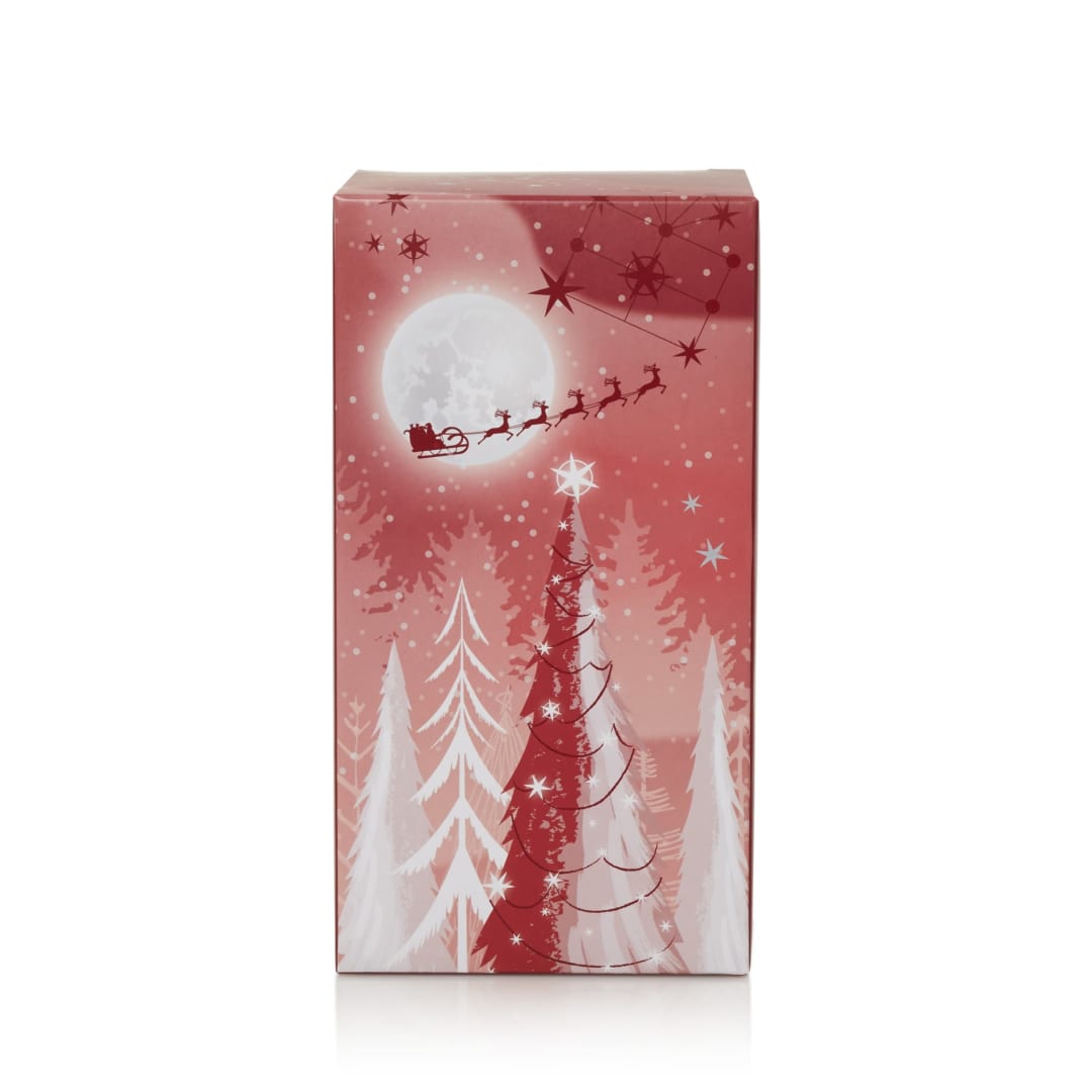 G-X3 MYO BOX HOLIDAY B