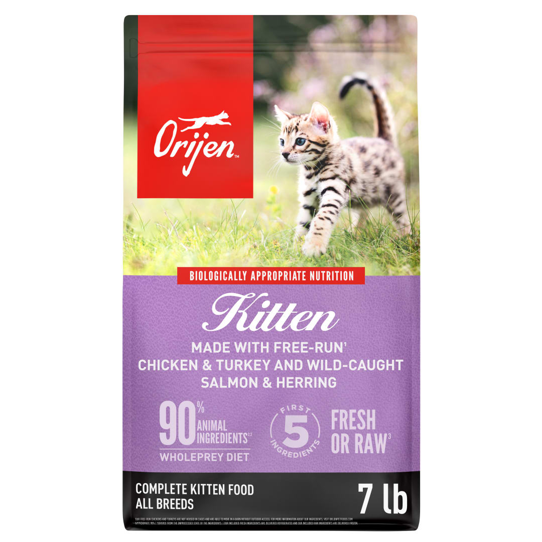 ORIJEN Grain Free High Protein Premium Dry Cat Food Kitten Recipe