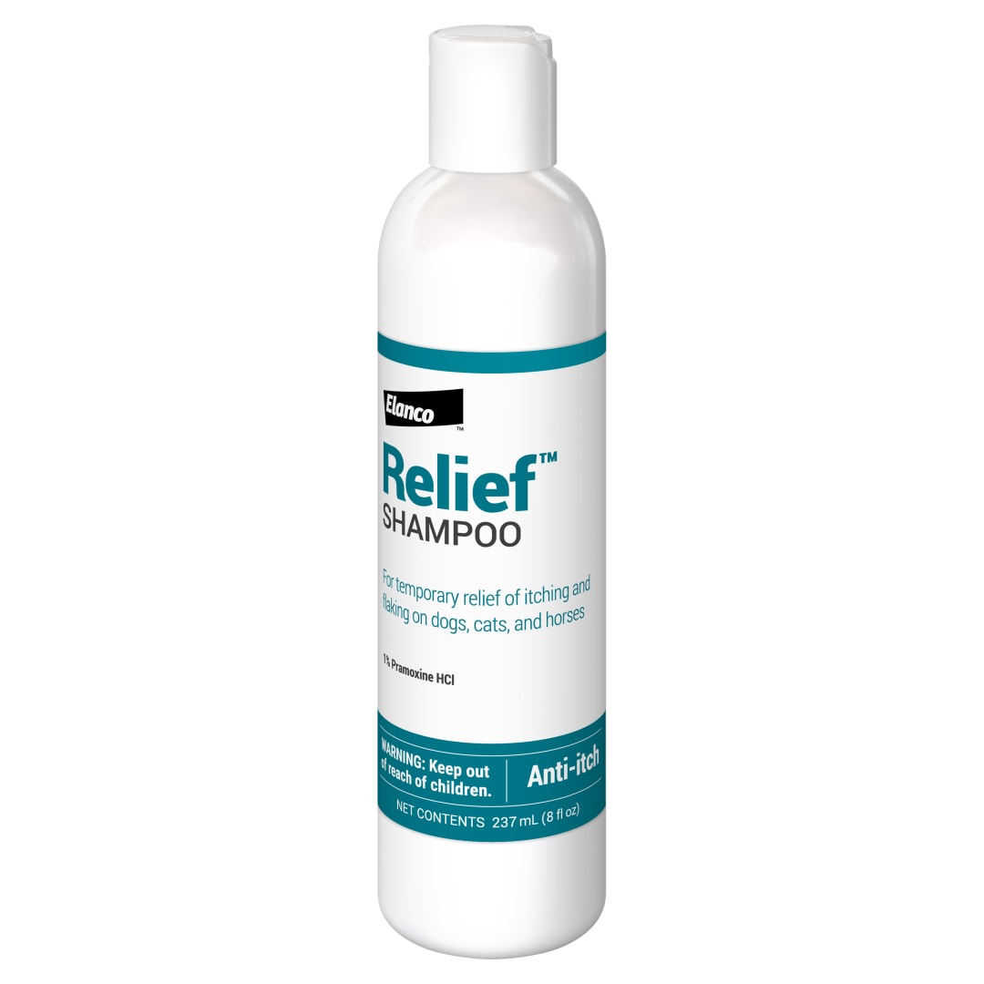 Relief Shampoo, 8 oz Bottle