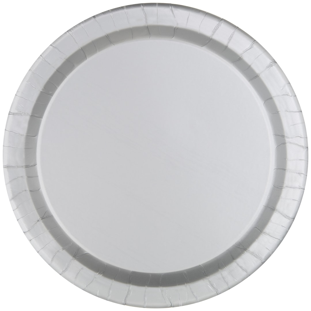 Silver Solid Round 9" Dinner Plates, 20ct