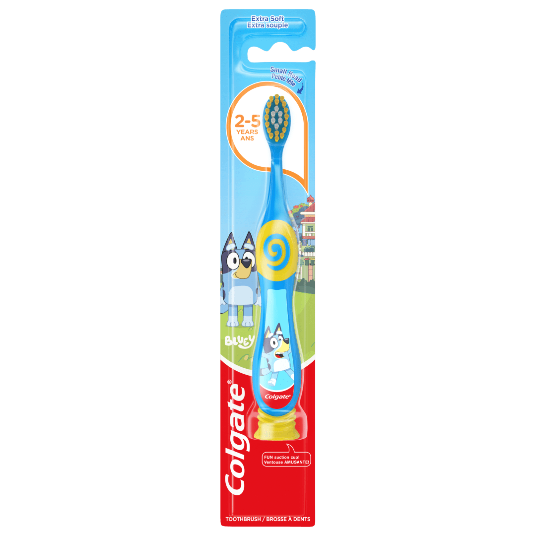 Kids toothbrush, Bluey toothbrush for kids, manual toothbrush for kids