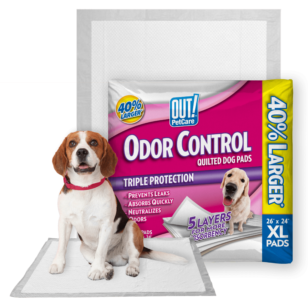 OUT! Odor Control Extra Large Dog Pads, 60 Pads, 26 x 24 Inches