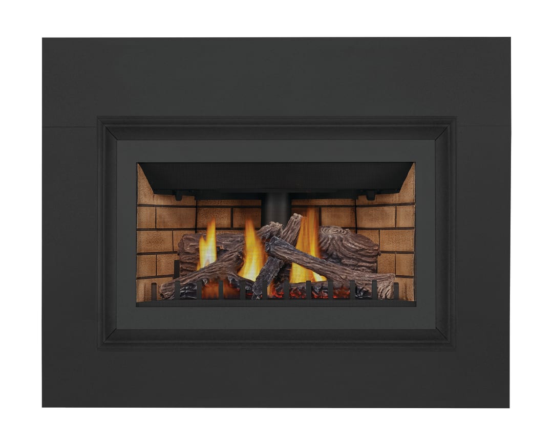 Inspiration™ ZC Gas Fireplace Insert , Natural Gas, Millivolt Ignition