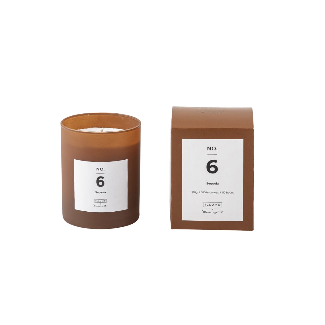 82049211 - NO. 6 - Sequoia Scented Candle, Brown, Natural Wax STOCK: 300
