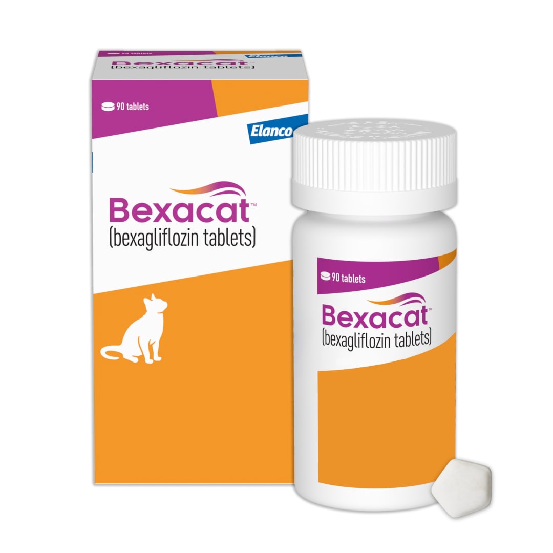 Bexacat (bexagliflozin tablets) Diabetes Mellitus Treatment for Cats 6.6 lbs & Over | 15 mg Tablets, 90ct