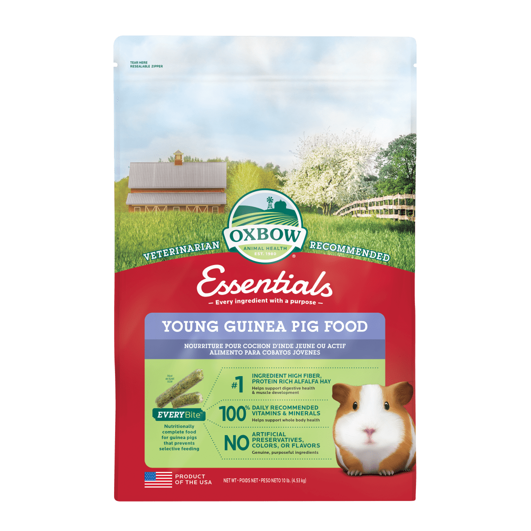 Essentials Young Guinea Pig Food - 10 lb