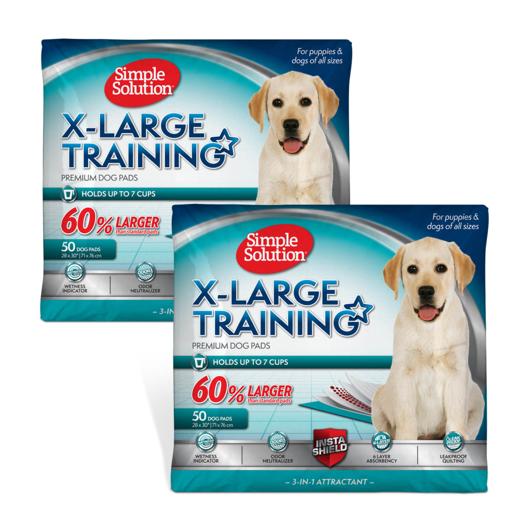 SS XL TRAINING PADS 1X100CT
