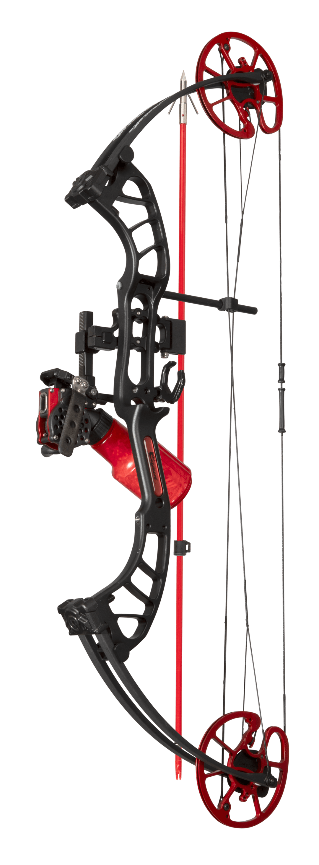 Cajun Bowfishing Shore Runner
