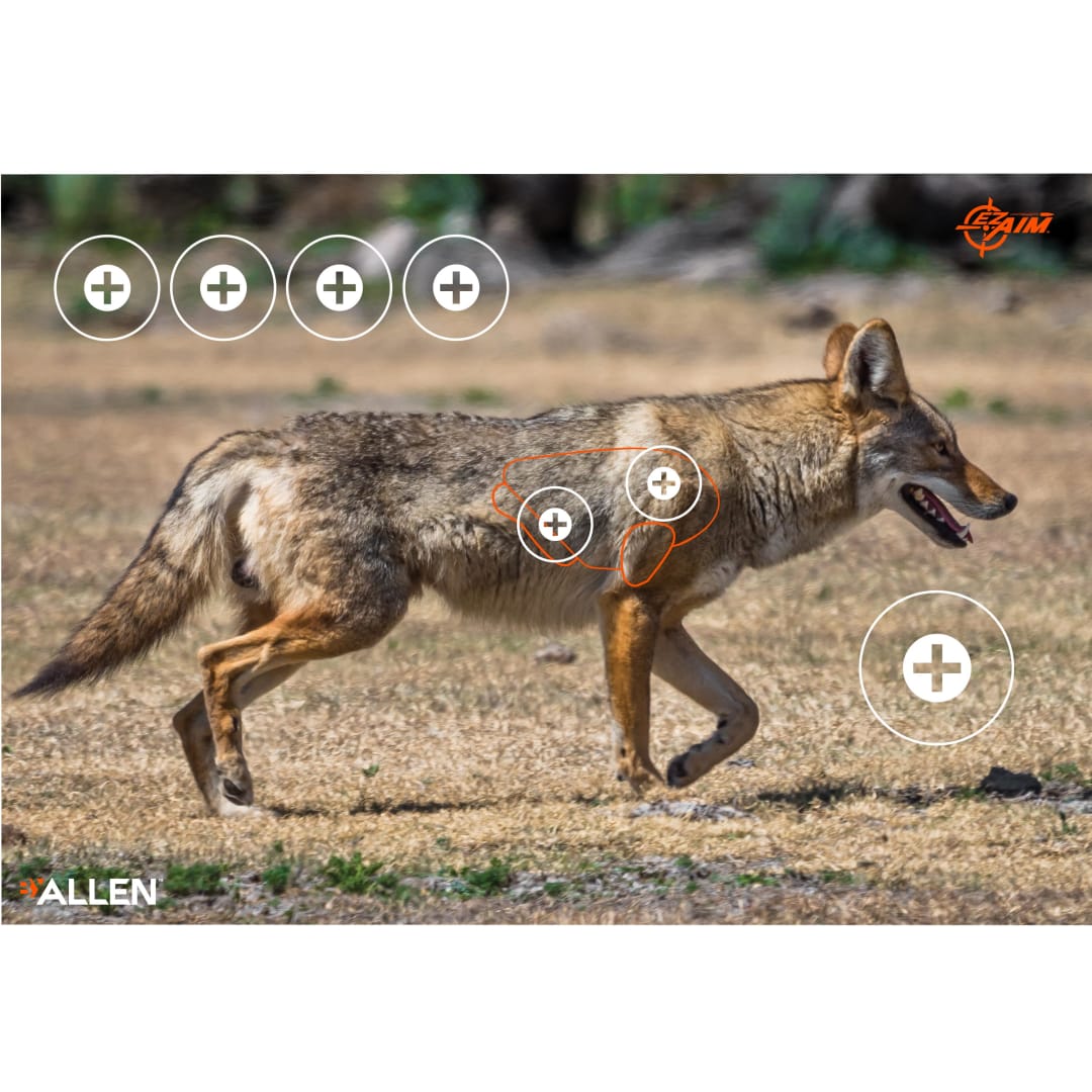 EZ Aim® Paper Shooting Targets, Coyote, 35"L x 25"W, 2-Pack