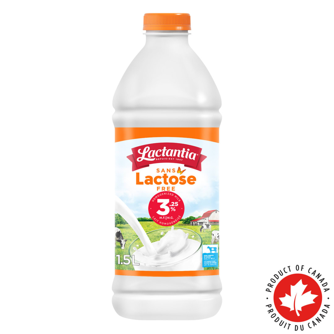 Lactantia Lactose Free Homogenized Milk 3.25%, 1.5L