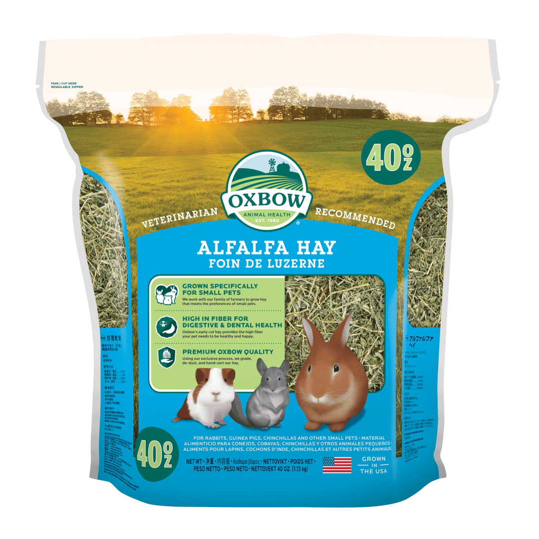 Alfalfa Hay - 6/40 oz