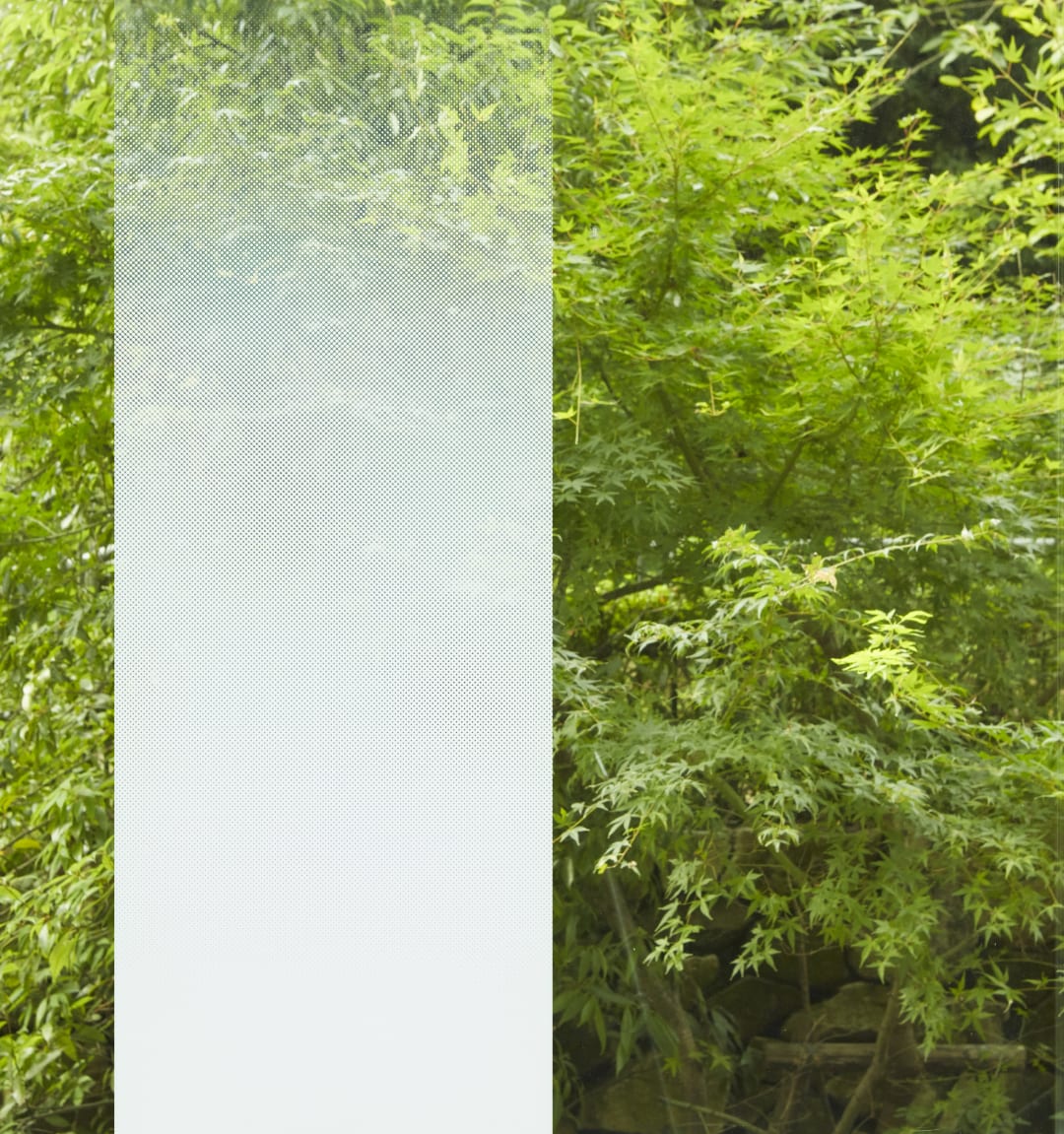 3M™ FASARA™ Glasdesignfolien Gradation