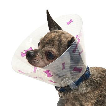 BUSTER Design Dog Collar, "Bones", Purple, 10cm