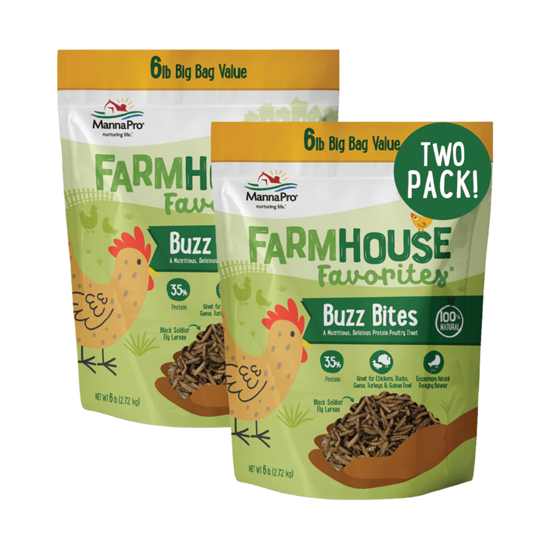 Manna Pro Farmhouse Favorites Buzz Bites Poultry Treat – 6lb 2-Pack for Amazon