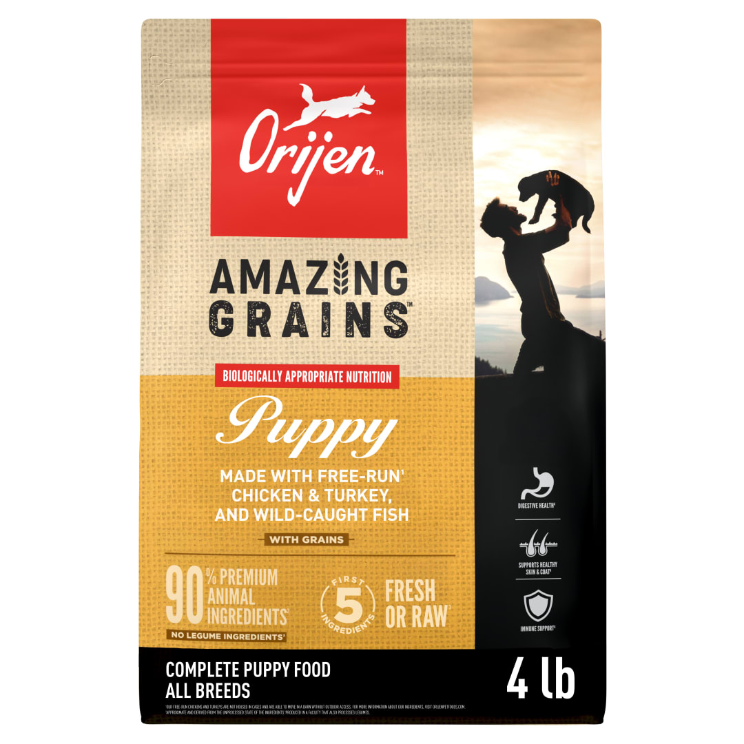 ORIJEN Amazing Grains High Protein Dry Dog Food Puppy Recipe