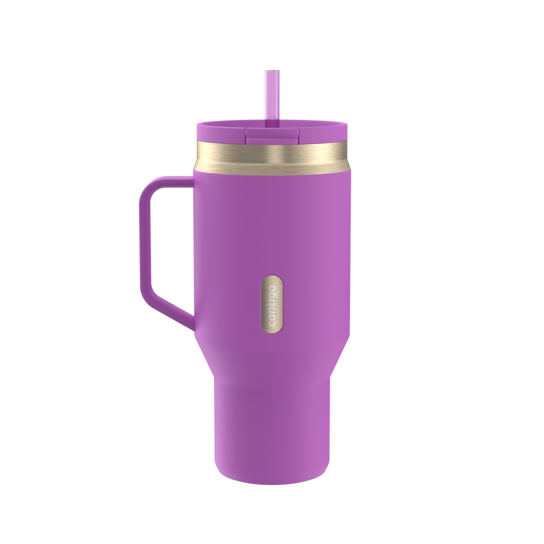 Contigo SnapSeal™ 30 oz Leakproof Travel Tumbler with Handle and Reusable Straw