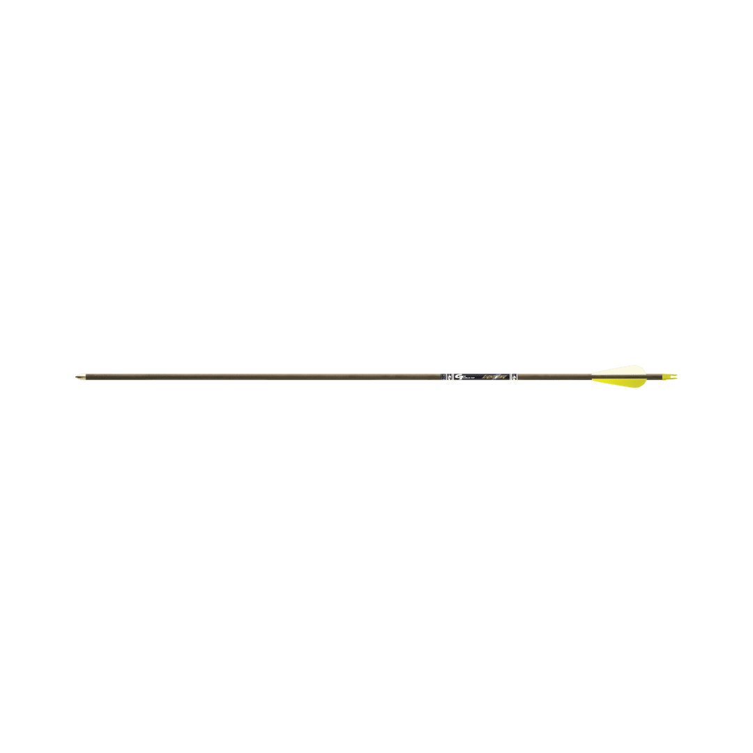 Gold Tip Lightning Arrows .246