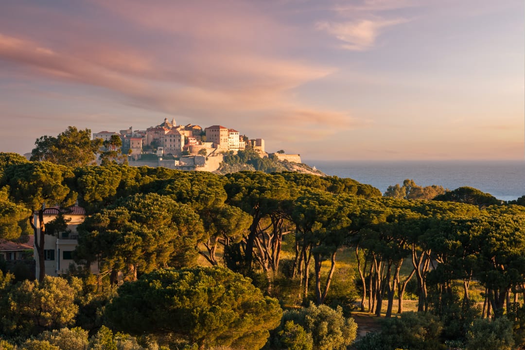 Calvi (Corsica)