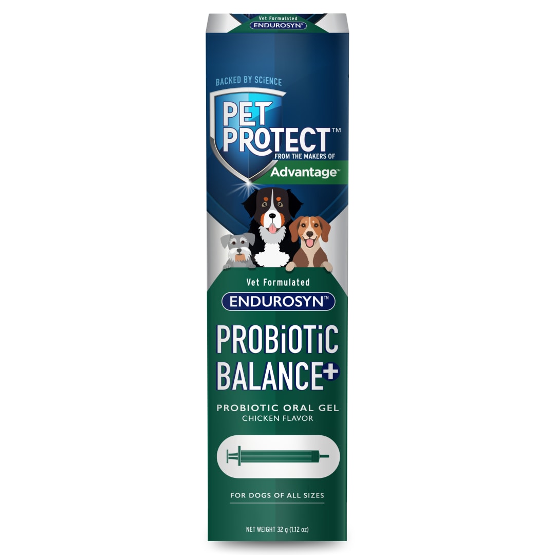 Pet Protect Dog Probiotic Balance+ Oral Gel, Vet-Formulated Endurosyn, Prebiotics & Probiotics for Dogs, 3-Day Supply, Chicken Flavor (32g)