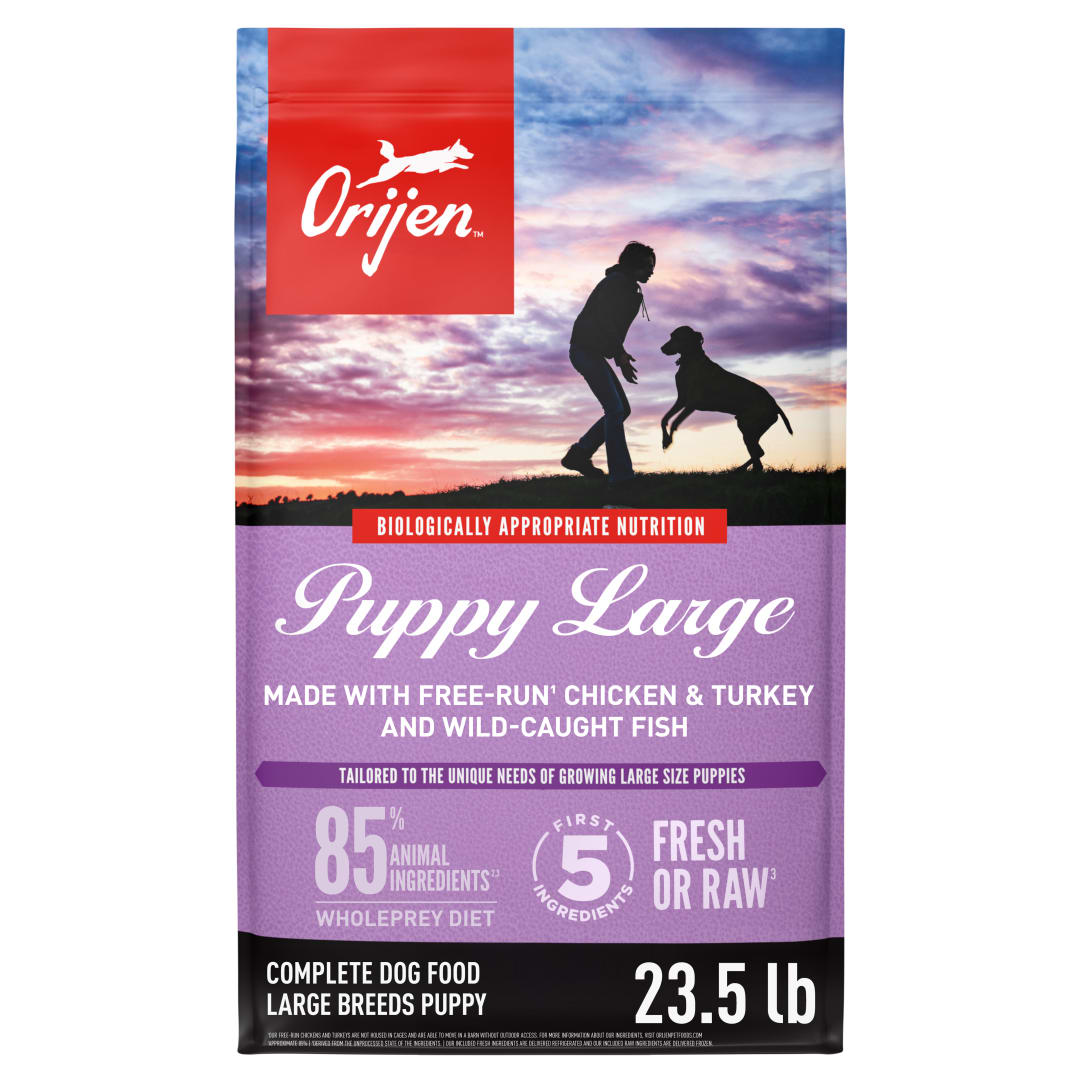 ORIJEN Grain Free High Protein Dry Dog Food Puppy Large Recipe