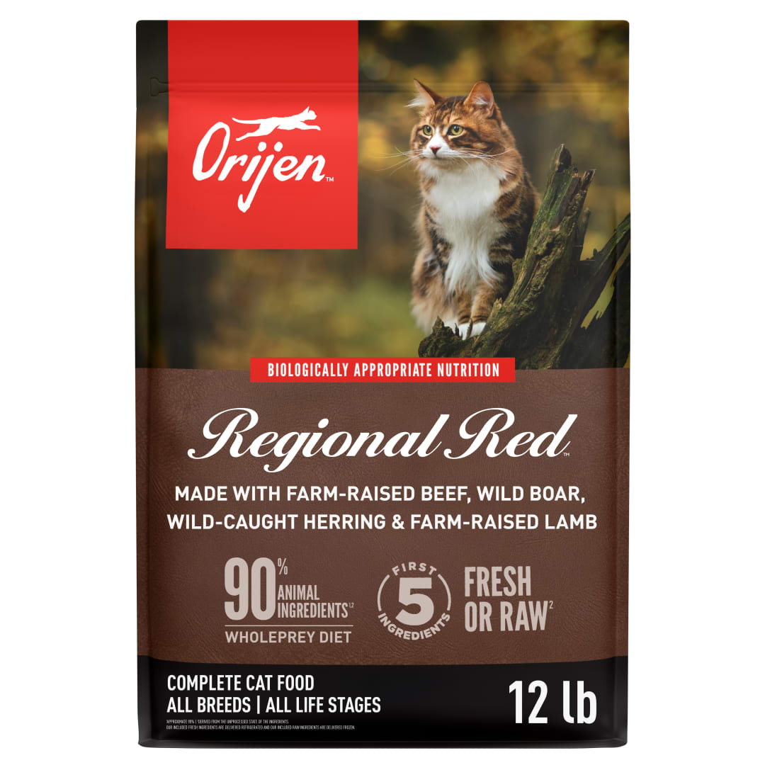 ORIJEN Grain Free High Protein Premium Dry Cat Food Regional Red Recipe