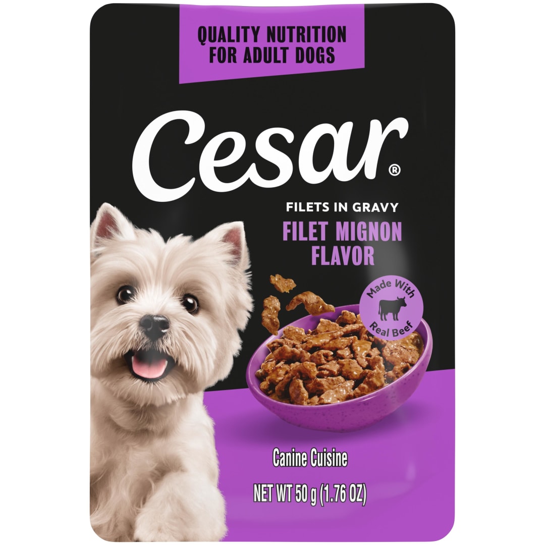 Cesar Filets in Gravy Filet Mignon Flavor Wet Dog Food, 1.76-oz Mini-Pouch