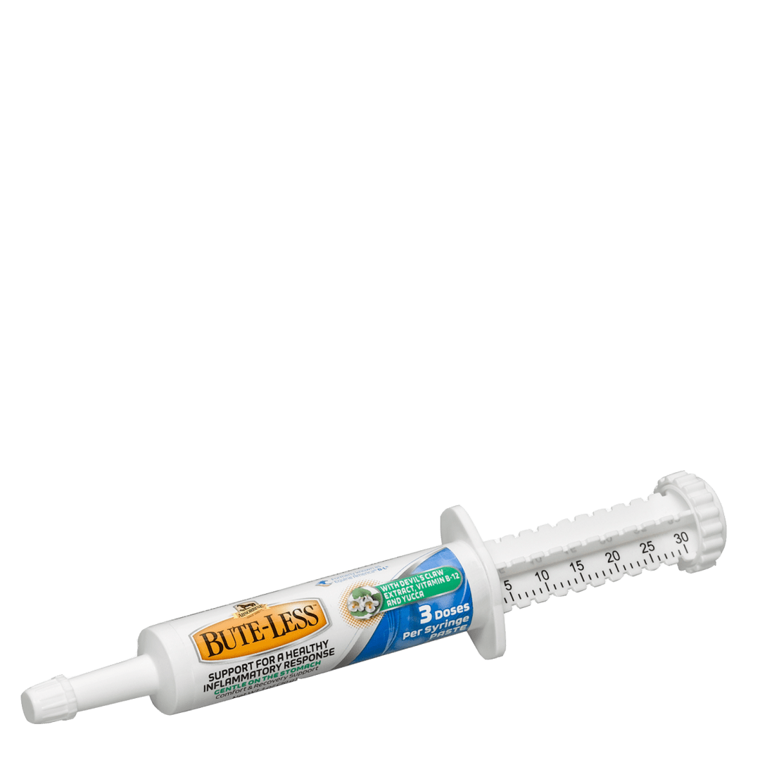 Bute-Less® Comfort & Recovery Supplement Paste 1 oz Syringe/3 Doses, 12 ct Display Syringe