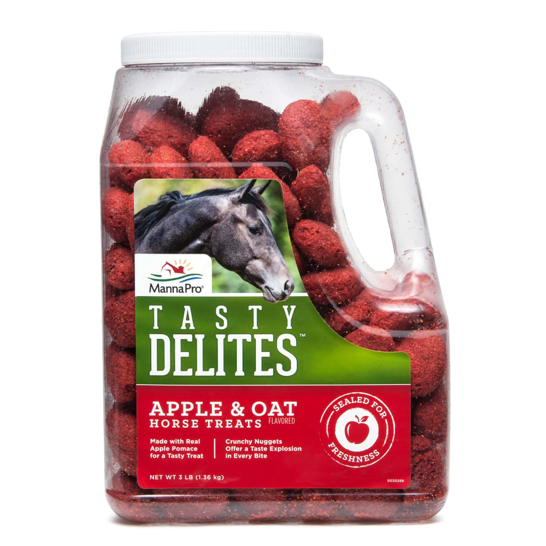 Manna Pro Tasty Delites Jugged Apple Flavor Treats | Made with real apples | 3LB