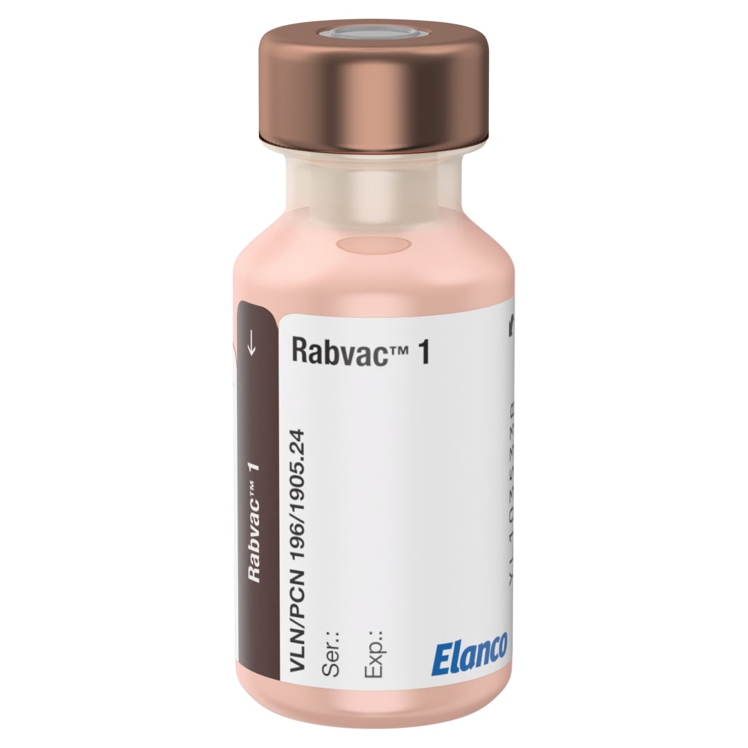 Rabvac 1 | 50 dose tray