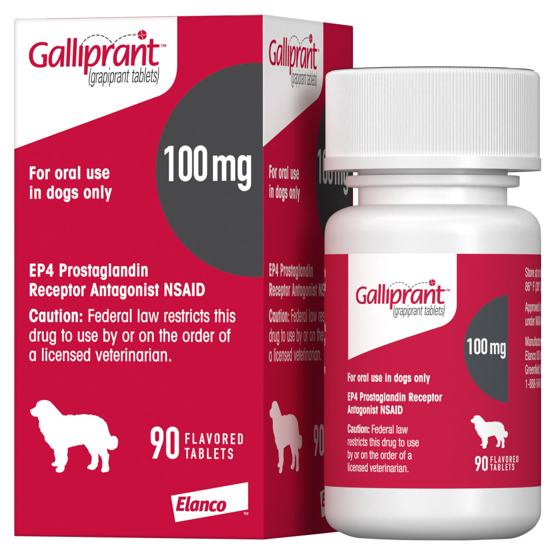 Galliprant Osteoarthritis Pain & Inflammation Control for Dogs | 100 mg | 90 Flavored Tablets