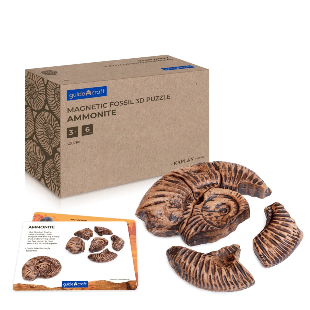 Magnetic Fossil 3D Puzzle - Ammonite