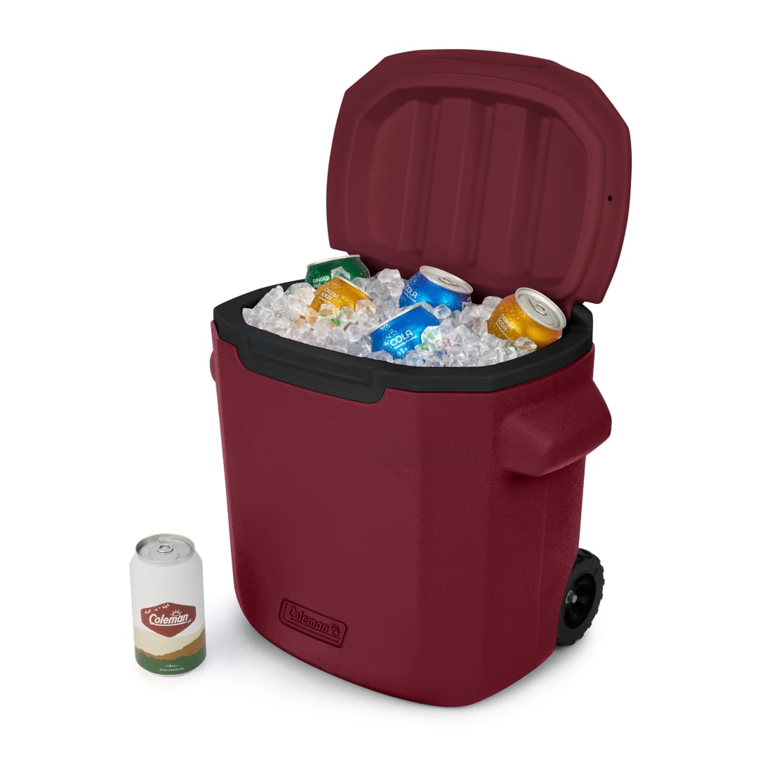 CHILLER COOLER 28QT WHL 6220 C/B/C