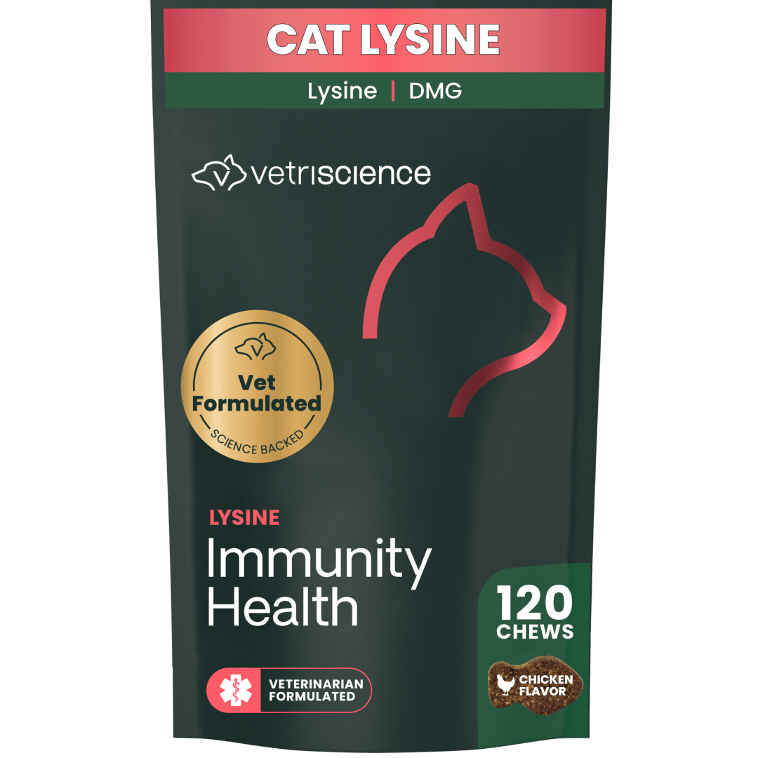 VS Lysine Immunity Health Chews, Cats, Chicken, 120ct