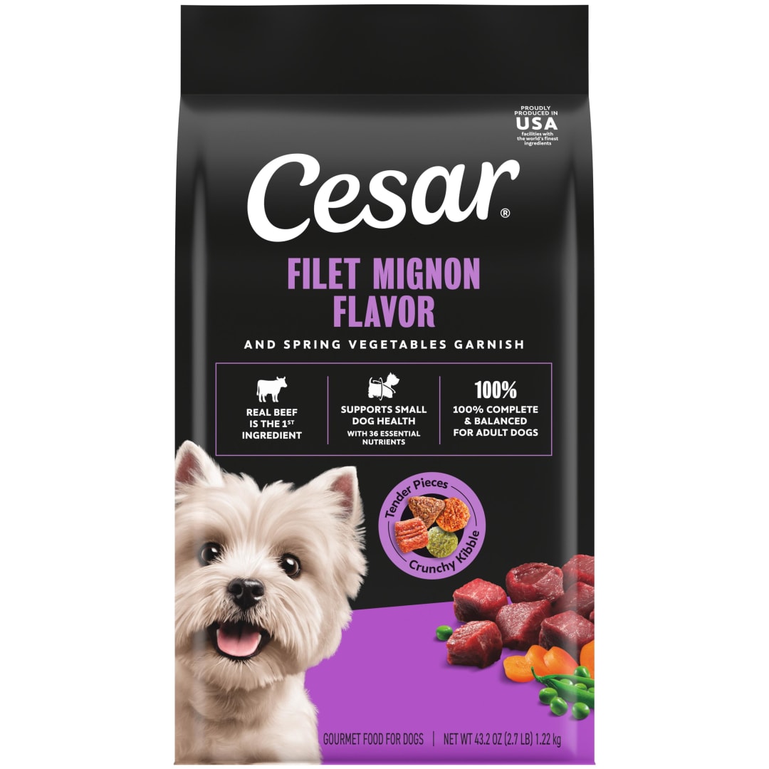 Cesar Filet Mignon Flavor with Vegetable Garnish Small Breed Dry Dog Food, 2.7 lb bag