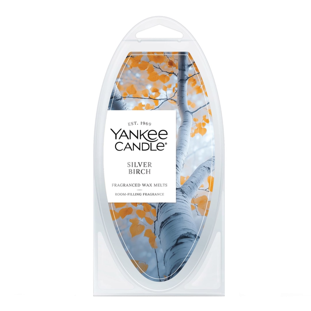 Yankee Candle Silver Birch Fragranced Wax Melts, 1 Pack of 6, 2.6 oz