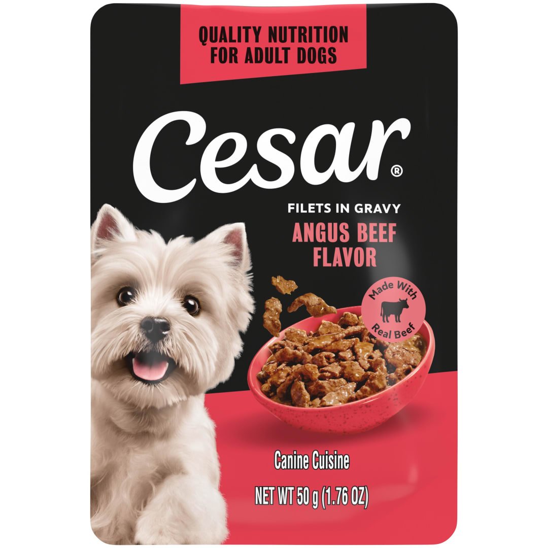 Cesar Filets in Gravy Angus Beef Flavor Wet Dog Food, 1.76-oz Mini-Pouch