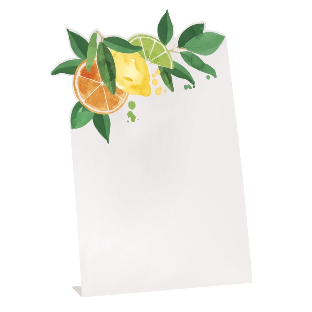 Citrus Fruit Place Cards, 6ct