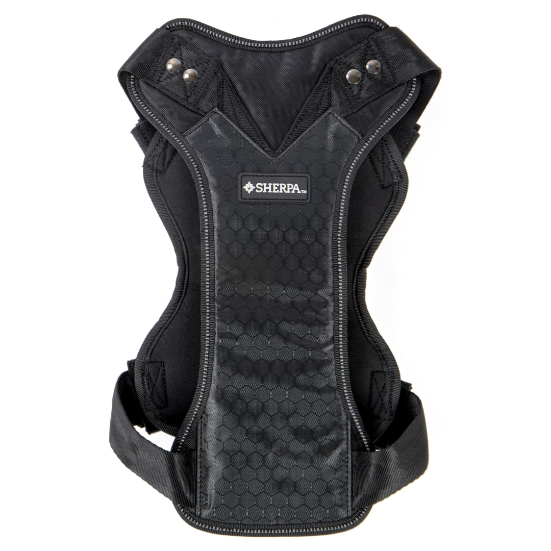 Sherpa Crash-Tested Multipurpose Seatbelt Dog Harness, Black, Large