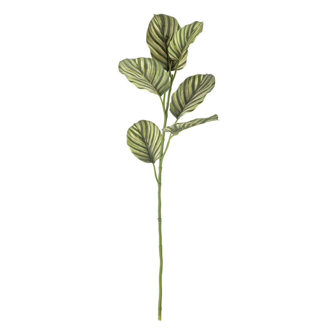 82061526 - Zebra Stem, Green, Artificial Flowers STOCK: 300