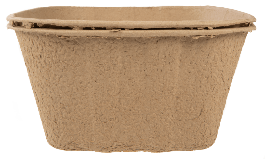 Frisco High-Sided Disposable Cat Litter Box, Set of 2