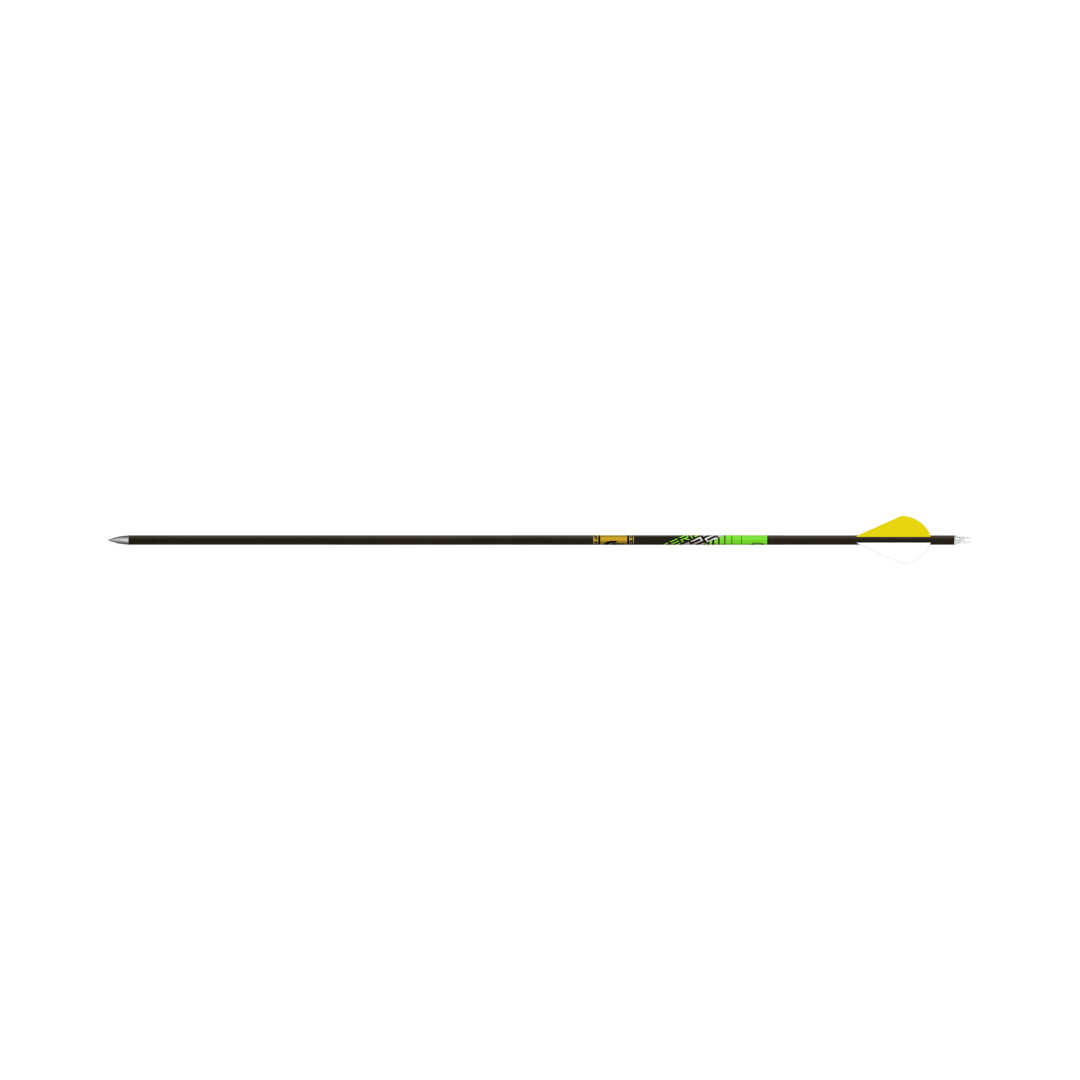 Gold Tip Series 22 Pro Arrows