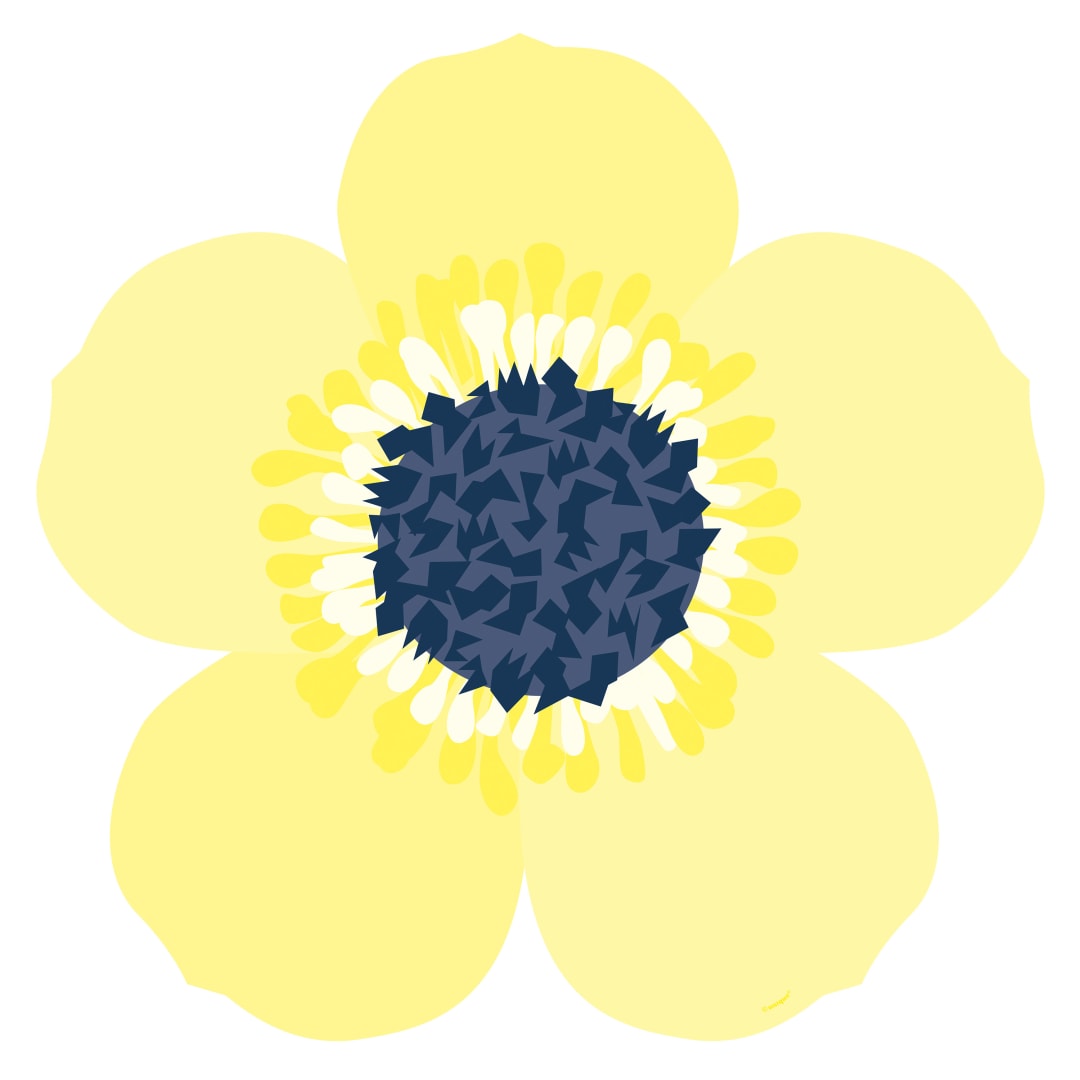 Flower Shaped Paper Placemats, 8ct